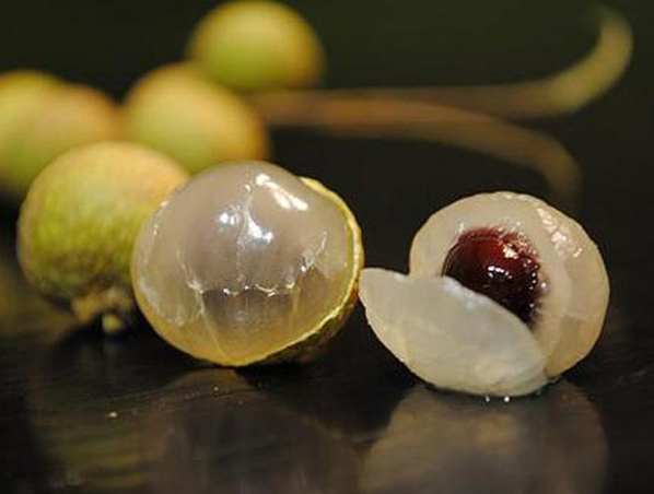 Extracto de Longan