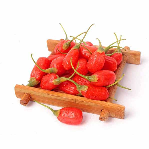 Polvo de baya de Goji