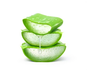 Extracto de aloe vera