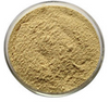 Polvo de Fucoidan de extracto de semilla de mar marrón