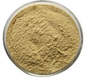 Polvo de Fucoidan de extracto de semilla de mar marrón