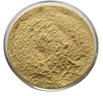Polvo de Fucoidan de extracto de semilla de mar marrón