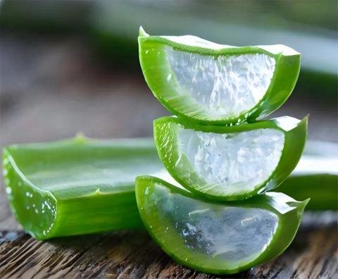 Extracto de aloe vera