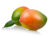 Extracto de semilla de mango africano