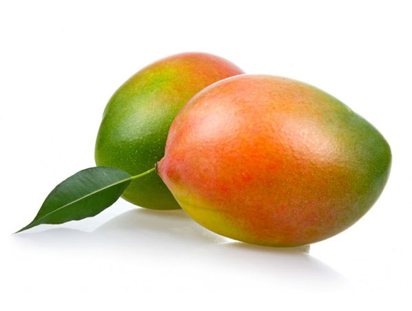 Extracto de semilla de mango africano