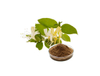 Extracto de flor de madreselva