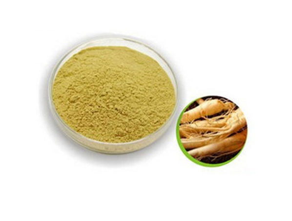 Extracto de ginseng americano