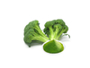 Brócoli en polvo