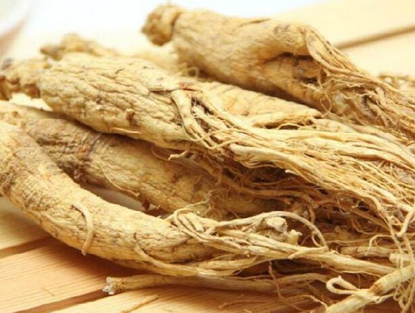 Extracto de ginseng