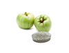 Extracto de Garcinia Cambogia