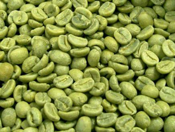 Extracto de grano de café verde