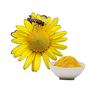 Polvo de polen de abeja