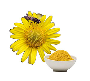 Polvo de polen de abeja
