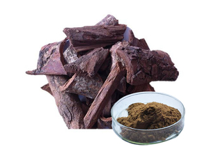 Extracto de Pygeum Africanum