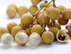 Extracto de Longan