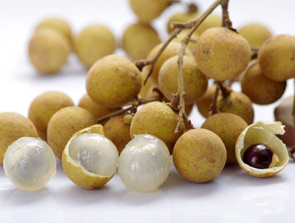 Extracto de Longan