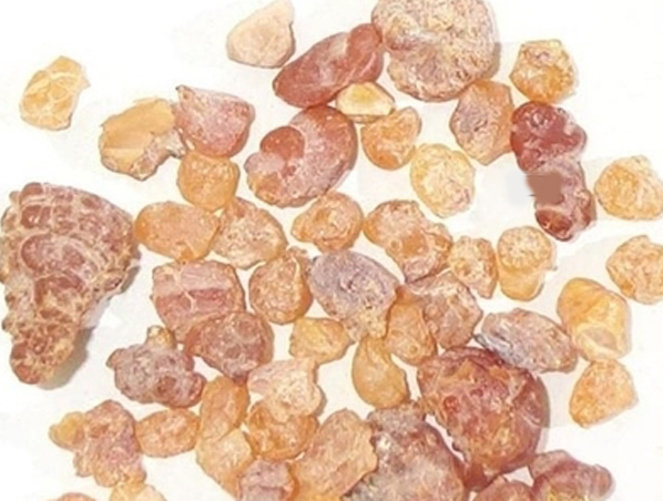 Extracto de Boswellia Serrata