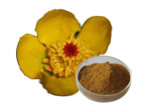 Extracto de raíz de Nuphar Pumilum
