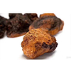 Extracto orgánico de hongo Chaga