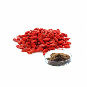 Polvo de baya de Goji