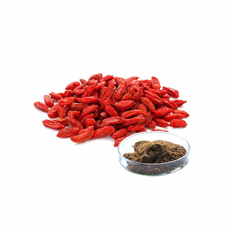 Polvo de baya de Goji