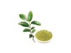 Polvo de té verde instantáneo