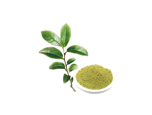 Polvo de té verde instantáneo
