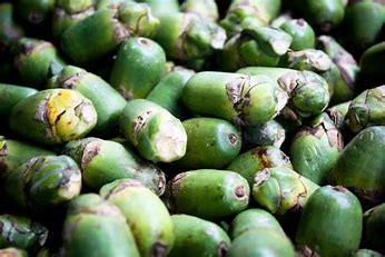 nuez de areca