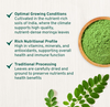 Extracto de Moringa/polvo de hoja de Moringa
