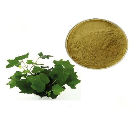 Extracto de hoja de hiedra 1%-10% Hederacósidos /Extracto de Hedera Helix Hederacósido C