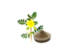 Extracto de Tribulus Terrestris