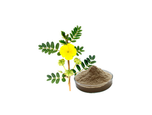Extracto de Tribulus Terrestris