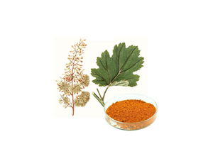 Extracto de Macleaya Cordata