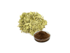 Extracto de hoja de sen