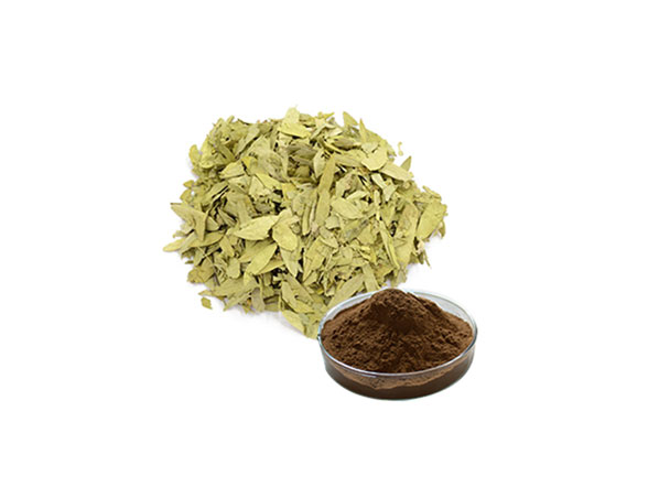 Extracto de hoja de sen