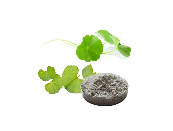 Extracto de centella asiática