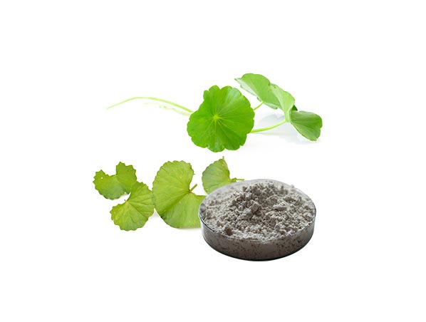 Extracto de centella asiática