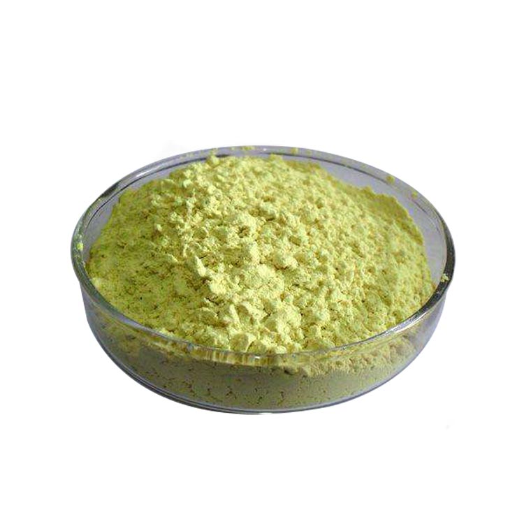 isoquercitina