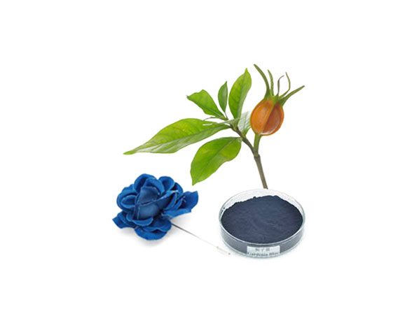 Gardenia Azul