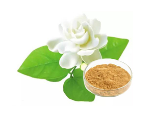 Extracto de té de jazmín