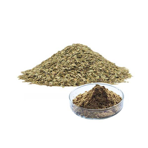 Extracto de té yerba mate