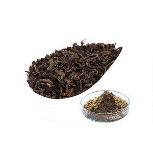 Extracto de té oscuro
