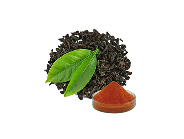 Extracto de té negro