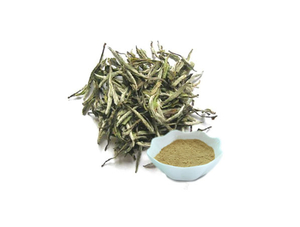 Extracto de té blanco