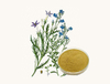 Extracto de Lobelia Intiata