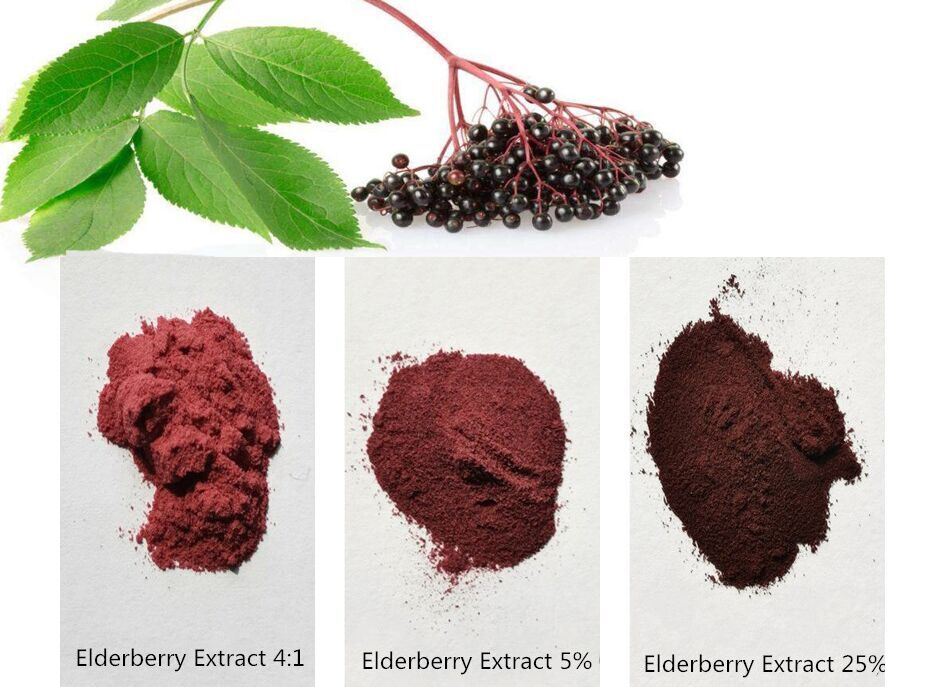 Im&aacute;genes en forma de polvo de extracto de sa&uacute;co