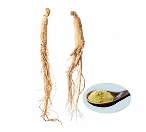 Extracto orgánico de ginseng coreano 