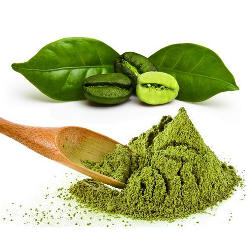  Polvo ácido clorogénico del extracto de grano de café verde de la pérdida de peso de la categoría alimenticia