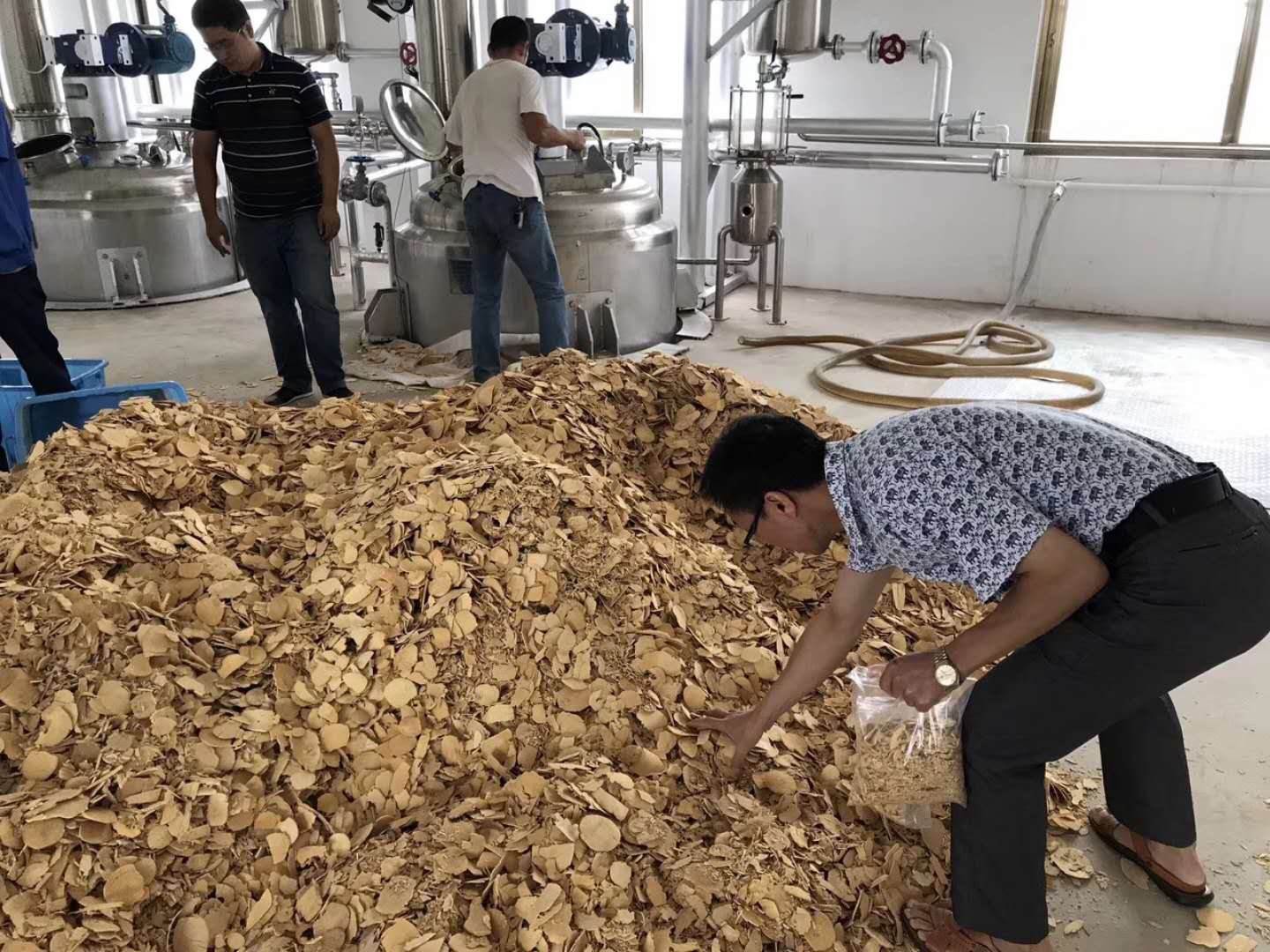 materia prima de tongkat ali-3