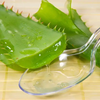 Extracto de aloe vera